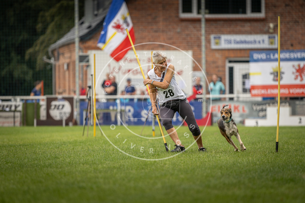 Pfotenfotografie_DV3A8165 | Hundefotografie, Tierfotograf, Pfotenfotografie, Fotoshooting Hund, Hunde Portrait, Hundesport, Hundeportraits, Heideshooting, Hunde, Sportfotograf, Hundefotograf, Turnierhundsport, THS,  - Realisiert mit Pictrs.com