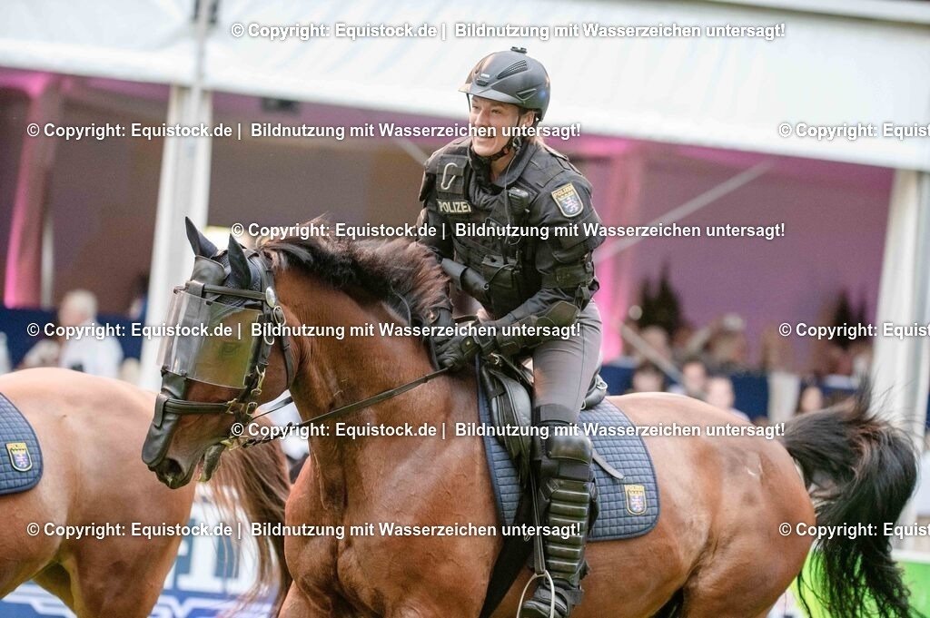 20250606_Lange-Pferdenacht_0859 | Foto: Thomas Hartig