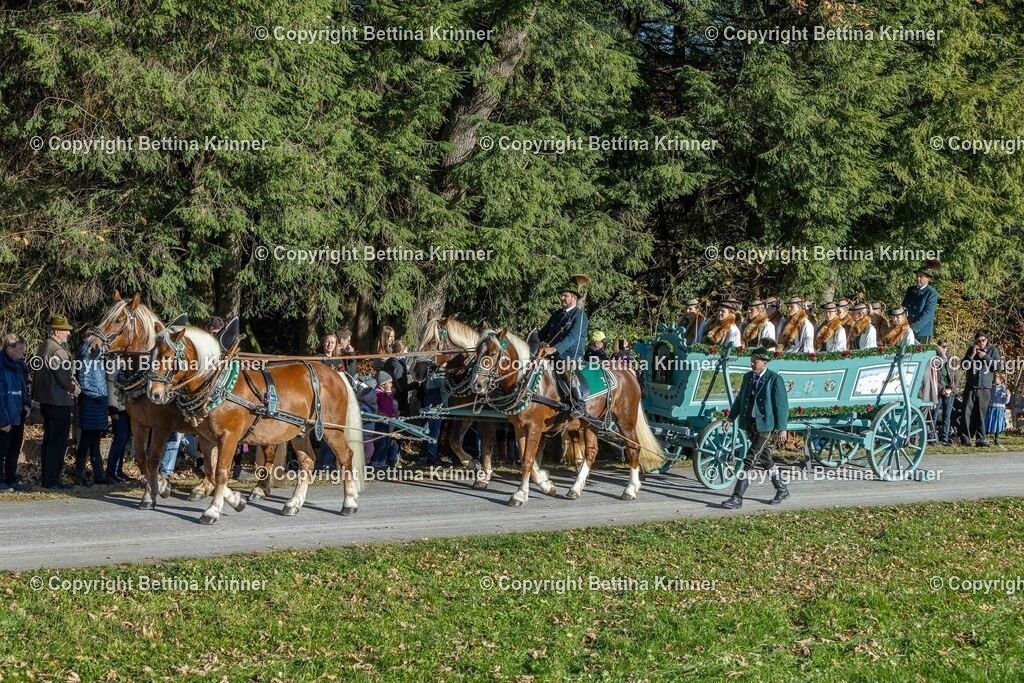 LBT25-478 | foto-bettina-krinner - Realisiert mit Pictrs.com