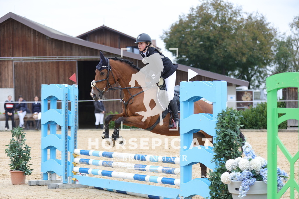 0P6A1263 | Willkommen bei Brunnmayr - Design & Fotografie – Ihrem Spezialisten für Reitturniere und Pferdeveranstaltungen in Oberösterreich, Salzburg und Bayern! Seit über 17 Jahren sind wir leidenschaftlich dabei.
