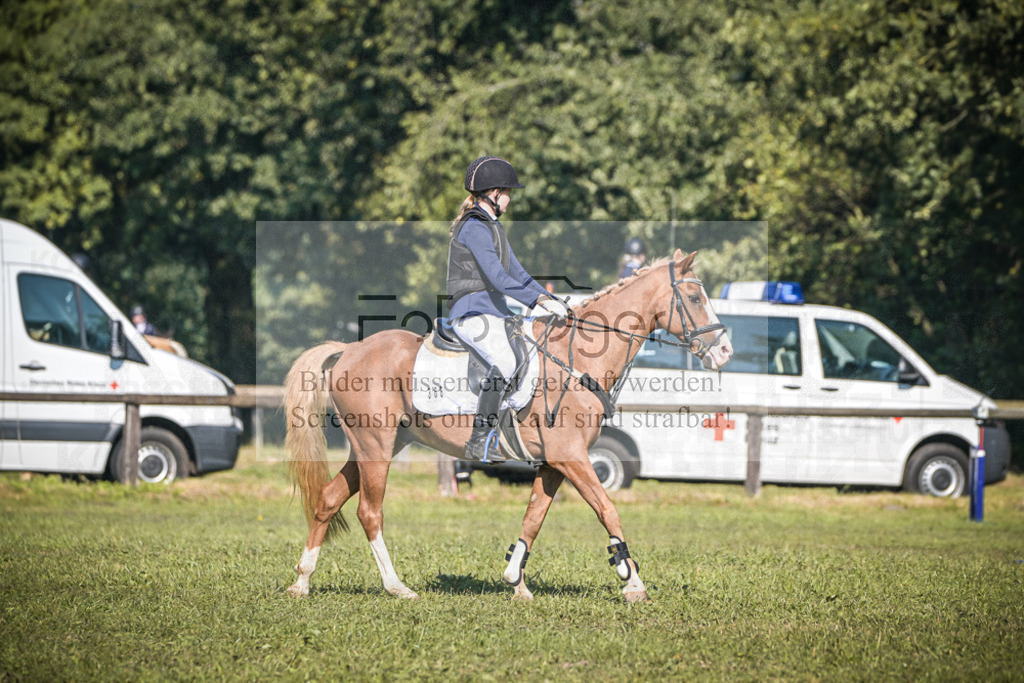 DOS_0491 | Entdecke hochwertige Reitturnierfotos von Foto Oger. Professionell, emotional und authentisch – jetzt Lieblingsmomente im Shop bestellen.Deutschlandweite Turnierfotografie. - Realisiert mit Pictrs.com