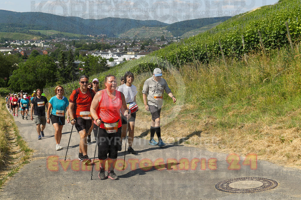 230617_1108_EV9_7682 | Sportfotografie im Rhein-Sieg Kreis, Köln, Bonn, NRW, Rheinland Pfalz, Hessen, etc. Unser Tätigkeitsfeld umfasst den Laufsport vom Volkslauf über den Marathon, Duathlon, Triathon bis zum Ultralauf wie Kölnpfad Ultra oder Schindertrail.