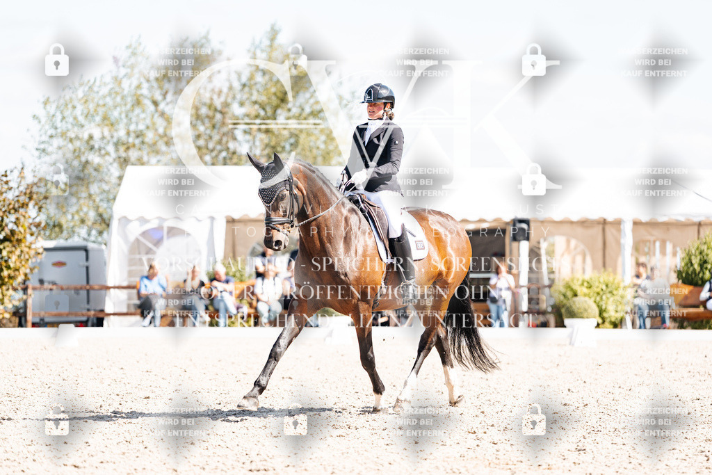 CK903397 | Turnierfotografie Pferdefotografie Trier Rheinland-Pfalz Pferdesport Reitsport Tierfotografie Sportfotografie Pferdevideo Pferdevideografie Equestrianvideography equestrianphotography  - Realisiert mit Pictrs.com