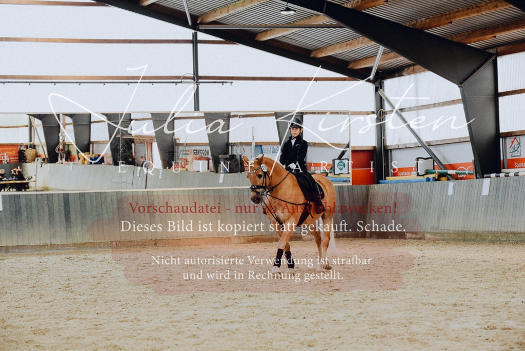 DSC_7349 | Pferde- und Turnierfotografie in Westsachsen. Pferdeportraits, Auftragszeichnungen und intuitive Kunst.