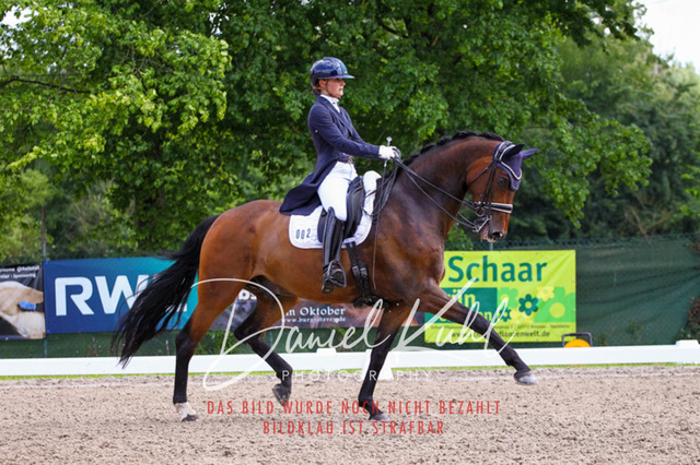 DKP41444 | Deine Turnierfotos vom Reitturnier online kaufen: Dressur, Springen & Siegerehrung. Professionelle Pferdefotografie aus dem Rheinland – als Download & Print.Alternative: Turnierfotograf für den Pferdesport: Finde deine Fotos von Dressur- und Springturnier