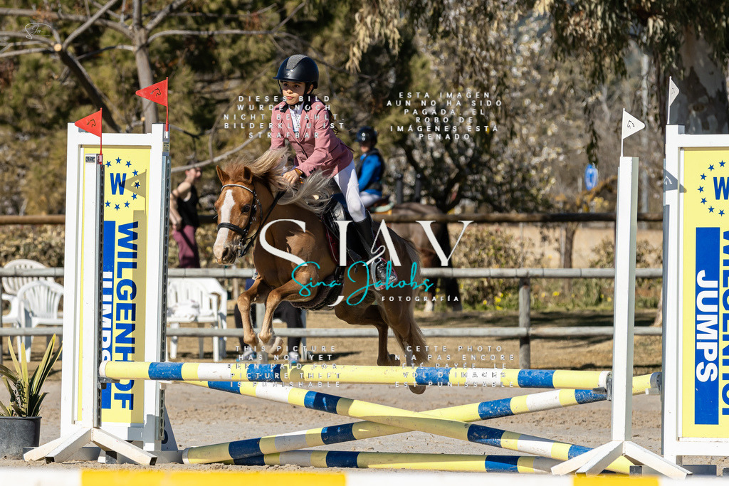 IMG_8762 | s-jay-photography - Realisiert mit Pictrs.com