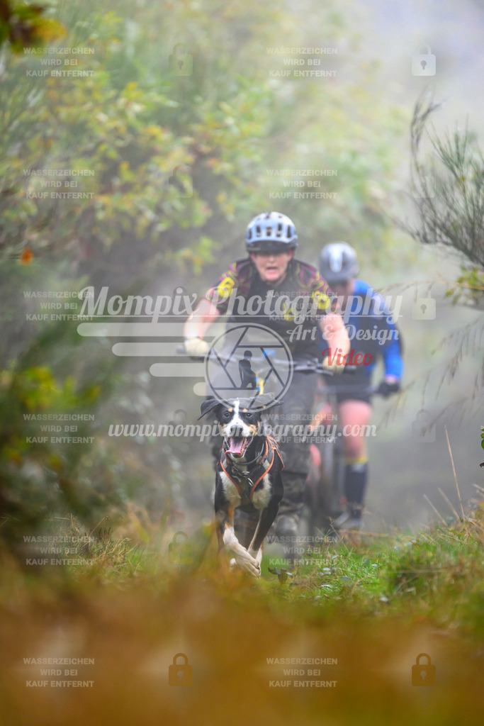 MompixPhotography_20TSB_E4_Bike-78 | PayLife