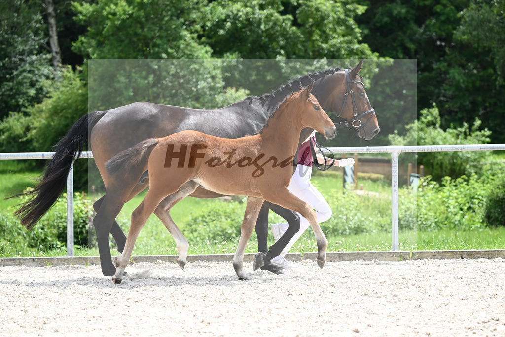 Viva Vitalis x Locksley III_SF_Ochs_20240470 | hf-fotografie - Realizzato con Pictrs.com