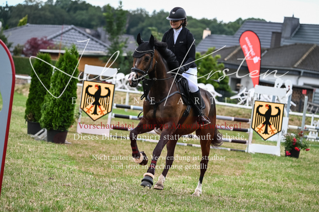 DSC_8437 | Pferde- und Turnierfotografie in Westsachsen. Pferdeportraits, Auftragszeichnungen und intuitive Kunst.