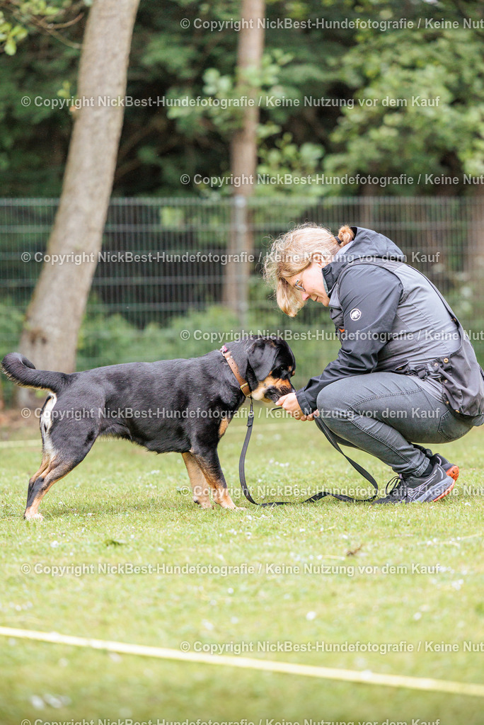 RO-Blumenthal-2026-Nickbest-Hundefotografie-4472 | Dein Hund! Dein Moment! Deine Erinnerungen! Hundefotografie in Bremen Blumenthal. Ich fange die besonderen Momente deines Vierbeiners ein – ob Indoor mit Blitzanlage oder in der freien Natur. Sicher dir dein Moment und dein Termin für eure Erinnerungen.