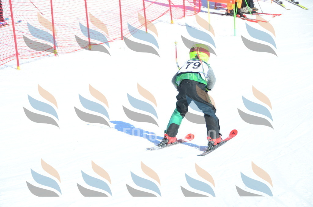 C5575 | holidayphoto