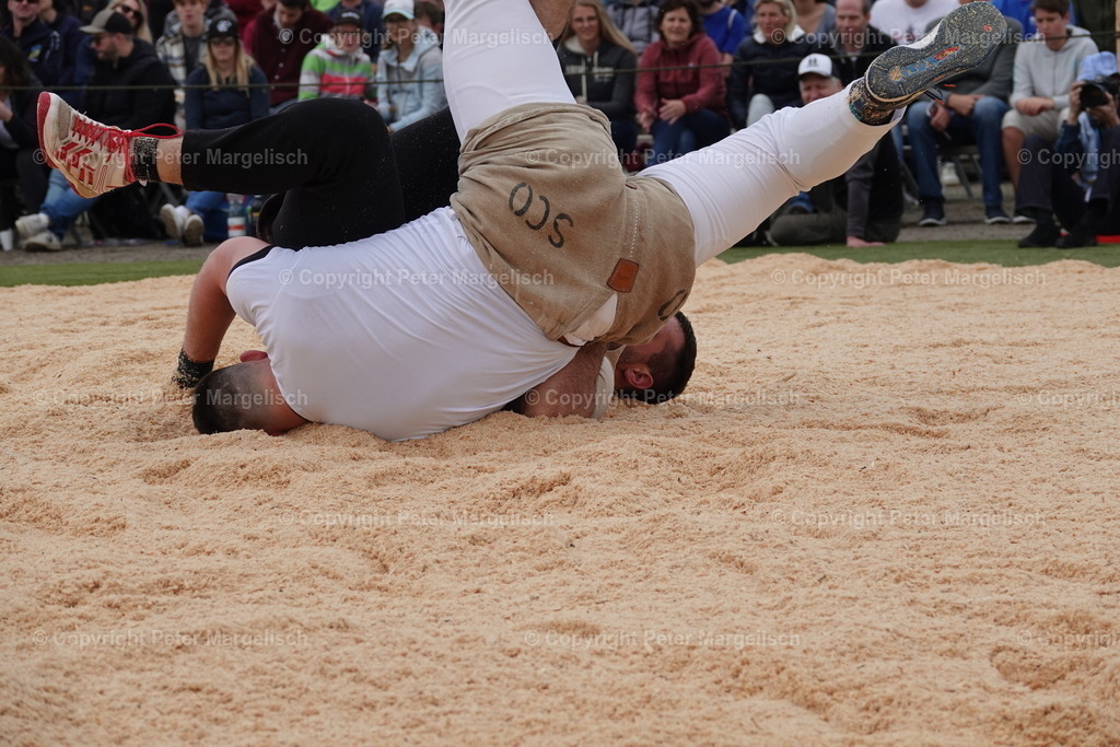 DSC03624 | Schwingen - Realisiert mit Pictrs.com