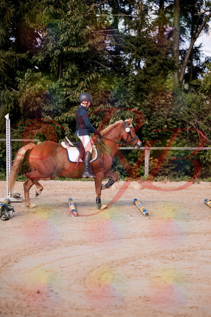 2026_10_03_Siefer-Hof_144625_Z81_22334310 | Professionelle Reitsport-, Turnier- und Eventfotografie von Robert Broda. Galerien mit ausgewählten und bearbeiteten Bildern direkt online ansehen und bestellen.