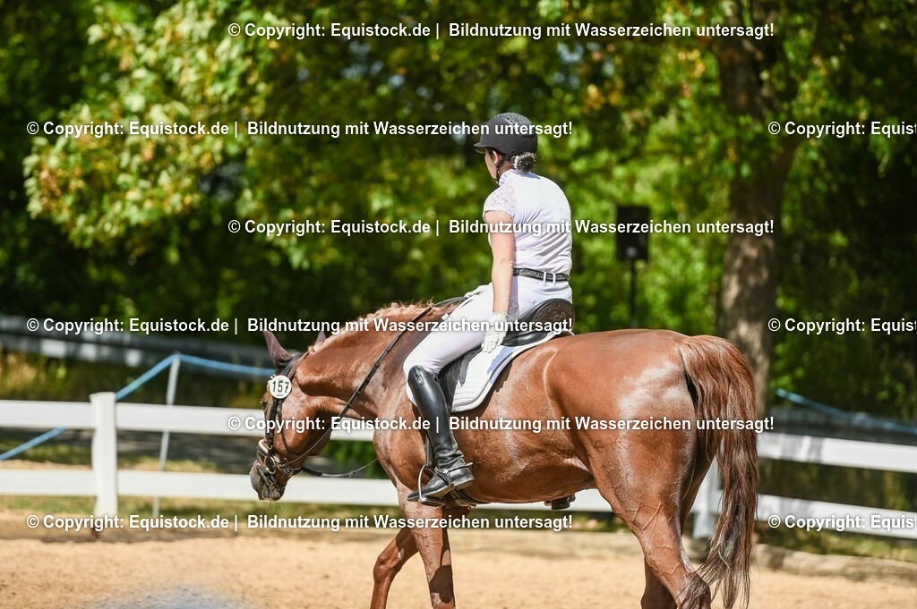20230715_02_Dressurreiterprüfung Kl.L_0254 | equistock