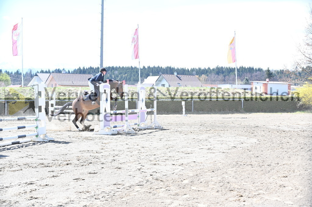 DSC_5235 | equestrian-live-com