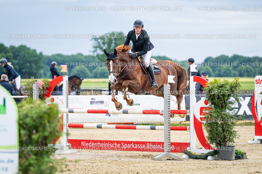 DSC04484 | Pferdegrafie