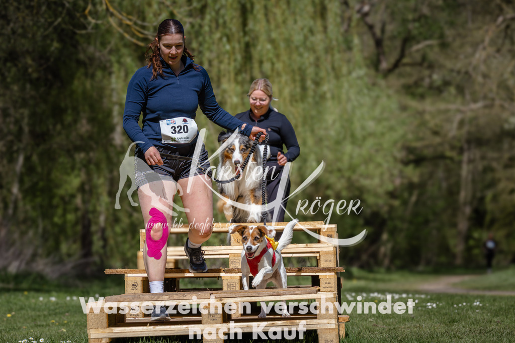 1236_ZZ92612 | kk-dogfotos