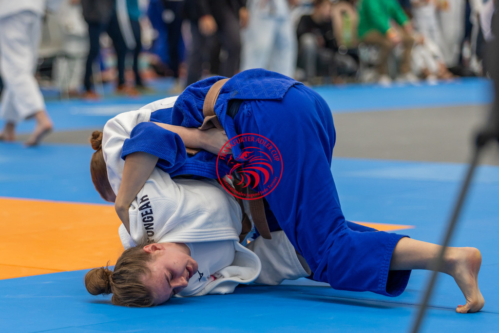 Internationaler Adler Cup 2024 | Foto vom Internationalen Adler Cup Judo Turnier im Sport- und Freizeitzentrum Kalbach im Oktober 2024 - Realisiert mit Pictrs.com
