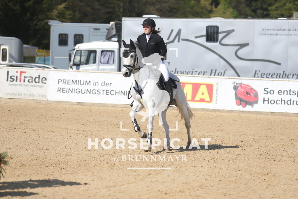 AS8V0413 | Willkommen bei Brunnmayr - Design & Fotografie – Ihrem Spezialisten für Reitturniere und Pferdeveranstaltungen in Oberösterreich, Salzburg und Bayern! Seit über 17 Jahren sind wir leidenschaftlich dabei.