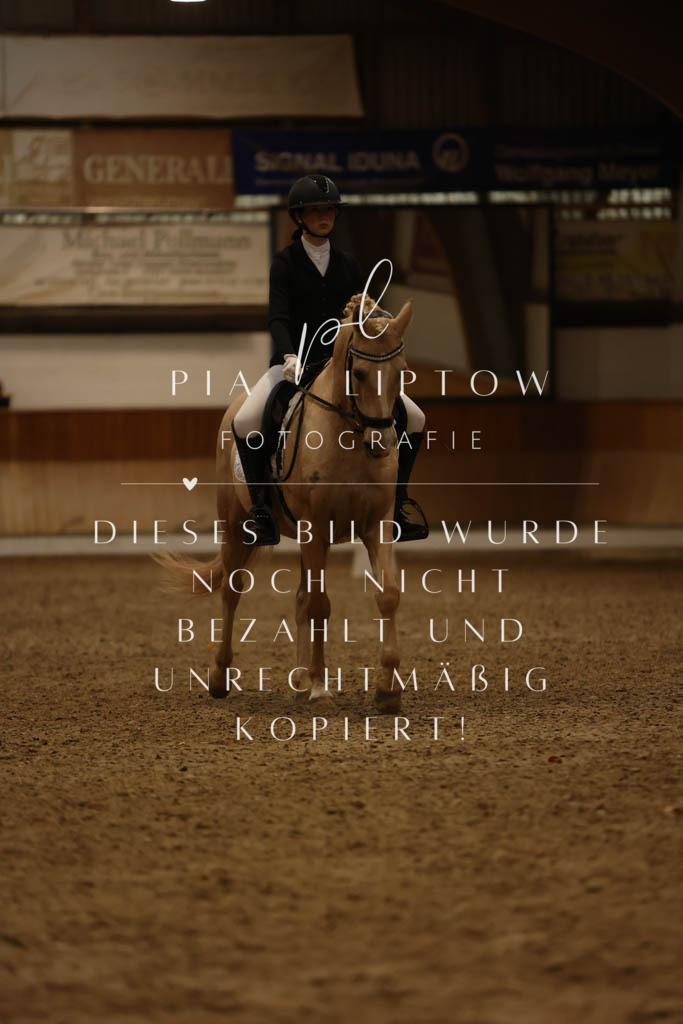 IMGM8469 | pl-fotografie