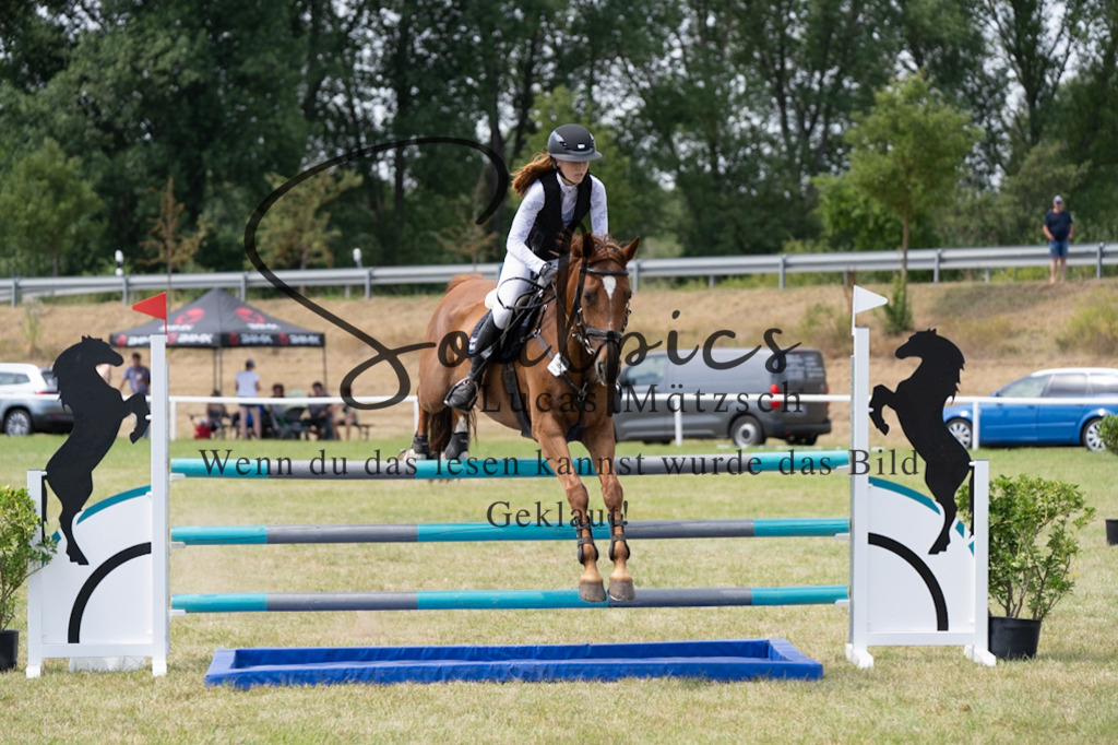 A7V01924 | Pferdefotograf