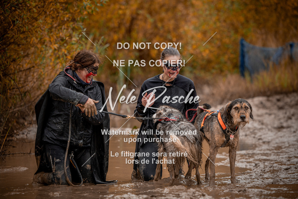nelerasche_Creepy2025_Sa12-13_436 | nelerasche