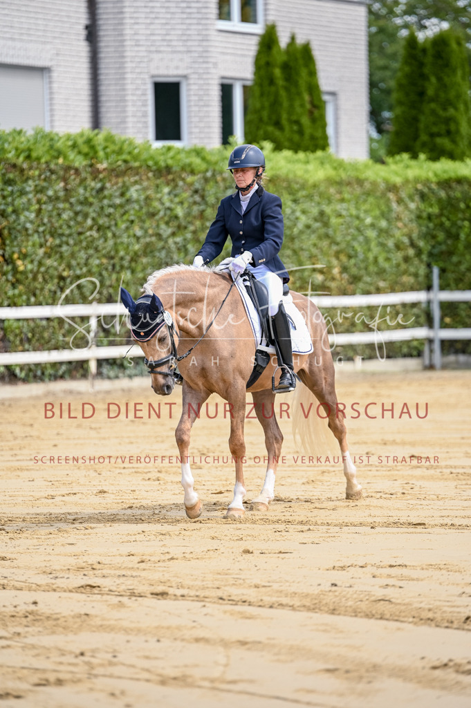 Schugtsche-Aluta25-48.Reitpferfdeprf.-60 | Schugtsche Fotografie - Realizzato con Pictrs.com