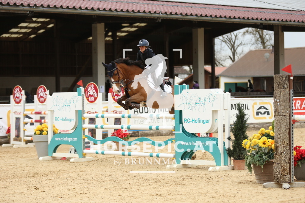 DL2Q5762 | Willkommen bei Brunnmayr - Design & Fotografie – Ihrem Spezialisten für Reitturniere und Pferdeveranstaltungen in Oberösterreich, Salzburg und Bayern! Seit über 17 Jahren sind wir leidenschaftlich dabei.