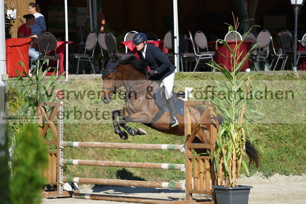 DSC02262 | equestrian-live-com