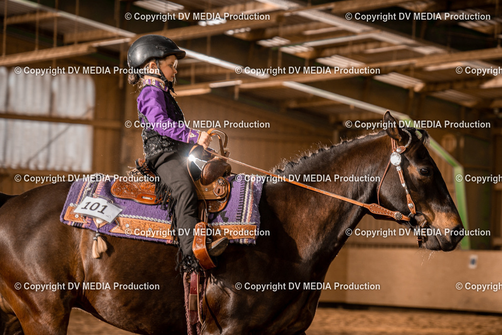 BAL02211 | dv-media-shop - Realisiert mit Pictrs.com