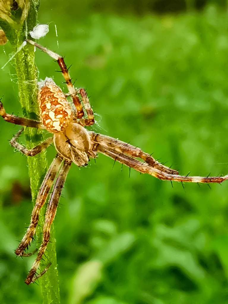 PSX_20230825_224012 | mtkfoto_ - Realisiert mit Pictrs.com