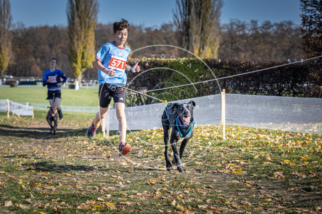 CaniXpix_DV3A8884 | Hundefotografie, Tierfotograf, Pfotenfotografie, Fotoshooting Hund, Hunde Portrait, Hundesport, Hundeportraits, Heideshooting, Hunde, Sportfotograf, Hundefotograf, Turnierhundsport, THS,  - Realisiert mit Pictrs.com
