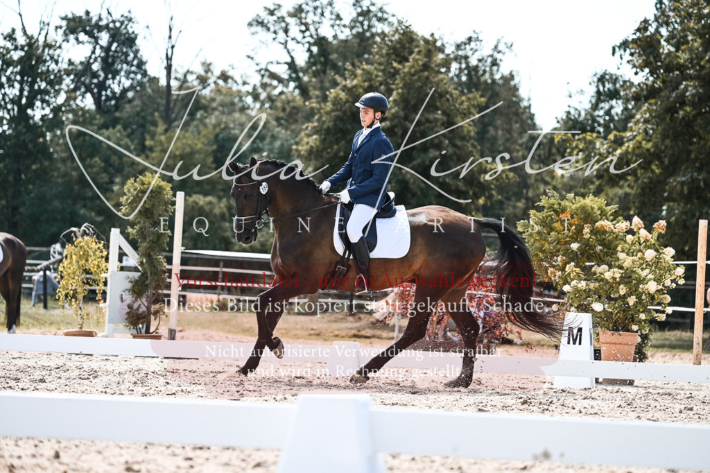 DSC_5446 | Pferde- und Turnierfotografie in Westsachsen. Pferdeportraits, Auftragszeichnungen und intuitive Kunst.