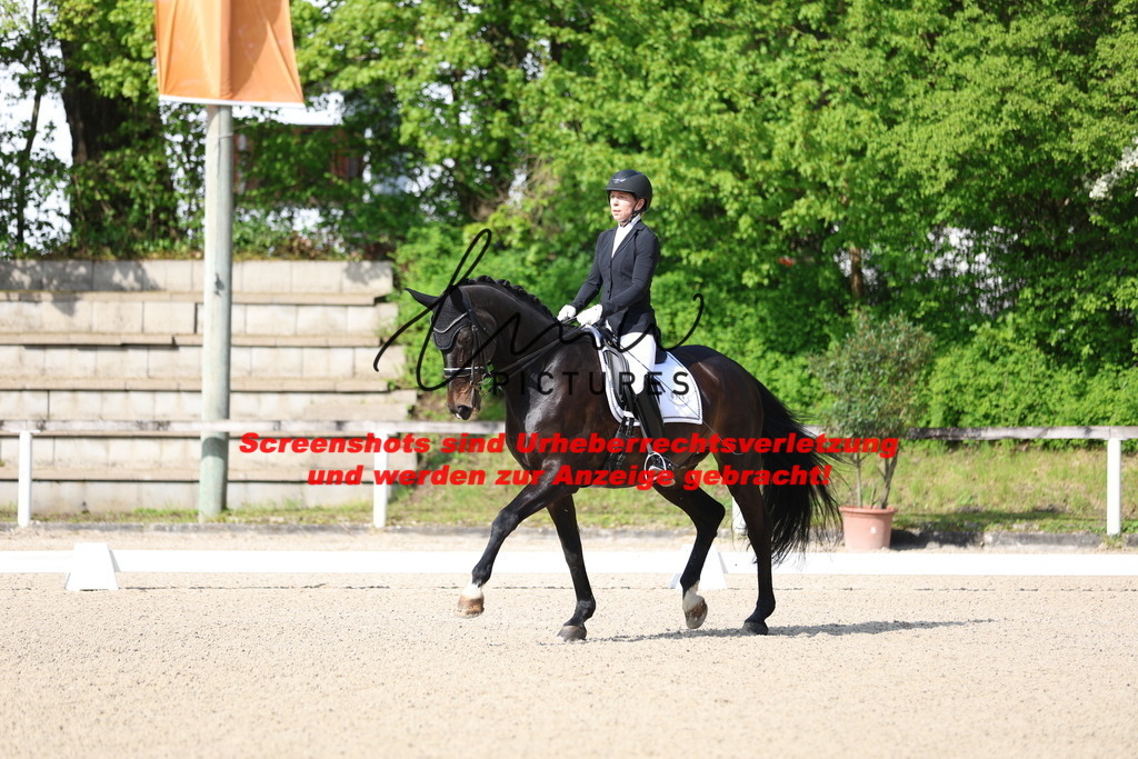 A40A3772 | lmwpictures - Realisiert mit Pictrs.com