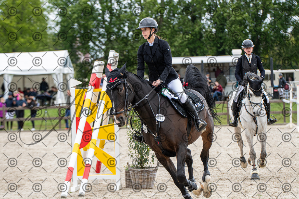 KPT_8984 | andre_photographic