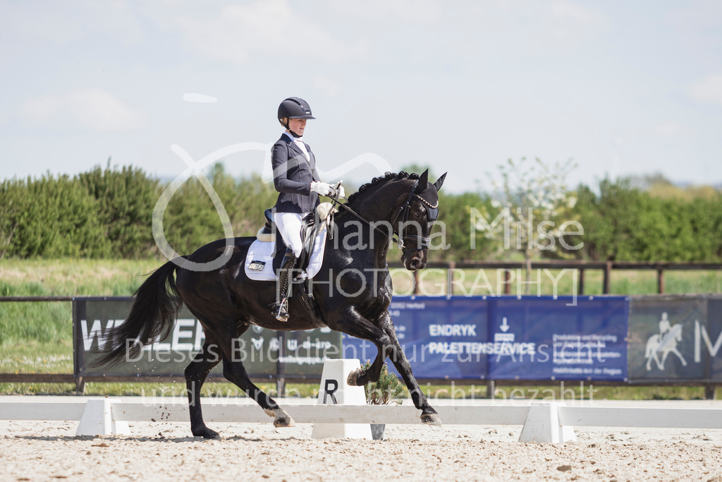 250416_Dressurpferde-L-245 | Deine schönsten Turniermomente als professionelle Fotos! Entdecke hochwertige Pferdesport-Fotografie im Online-Shop. Jetzt Fotos finden & bestellen!