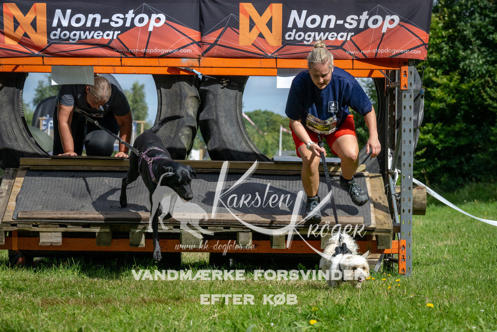 1113_ZZ92080 | kk-dogfotos