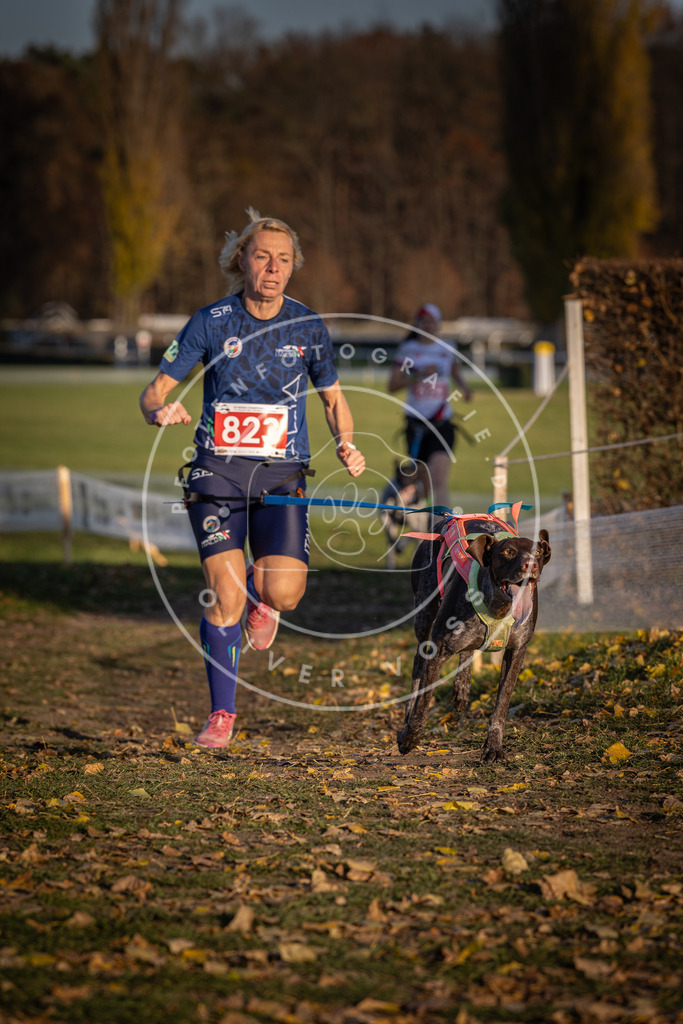 CaniXpix_DV3A3304 | Hundefotografie, Tierfotograf, Pfotenfotografie, Fotoshooting Hund, Hunde Portrait, Hundesport, Hundeportraits, Heideshooting, Hunde, Sportfotograf, Hundefotograf, Turnierhundsport, THS,  - Realisiert mit Pictrs.com