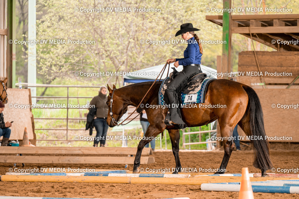 BA300279 | dv-media-shop - Realisiert mit Pictrs.com