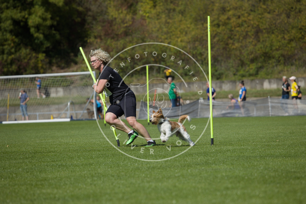 0L8A6678 | Hundefotografie, Tierfotograf, Pfotenfotografie, Fotoshooting Hund, Hunde Portrait, Hundesport, Hundeportraits, Heideshooting, Hunde, Sportfotograf, Hundefotograf, Turnierhundsport, THS,  - Realisiert mit Pictrs.com