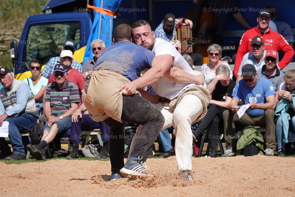 DSC02342 | Schwingen - Realisiert mit Pictrs.com
