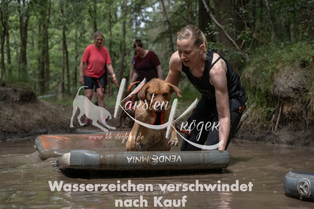 1333_ZZ94604 | kk-dogfotos