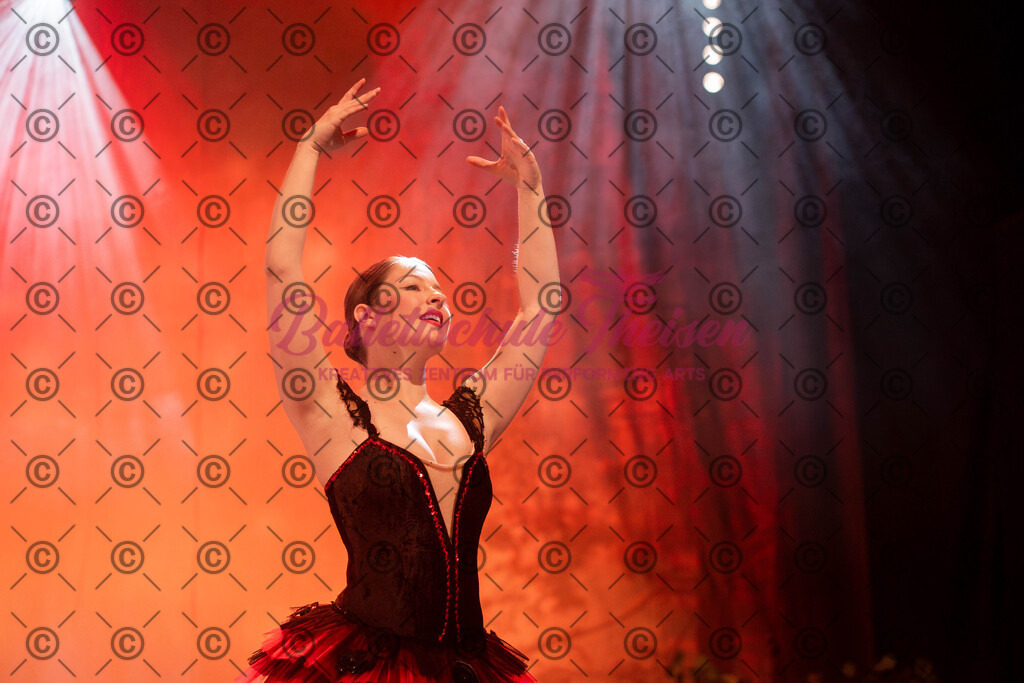Ballettaufführung-1777 | Bildershop Lem'n Entertainment - Realisiert mit Pictrs.com