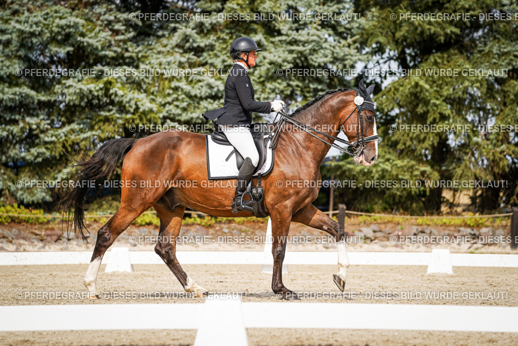 DSC06624 | Pferdegrafie