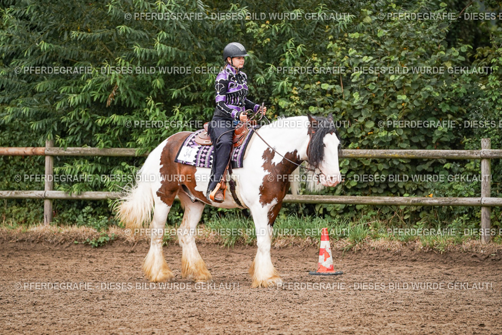 DSC05168 | Pferdegrafie