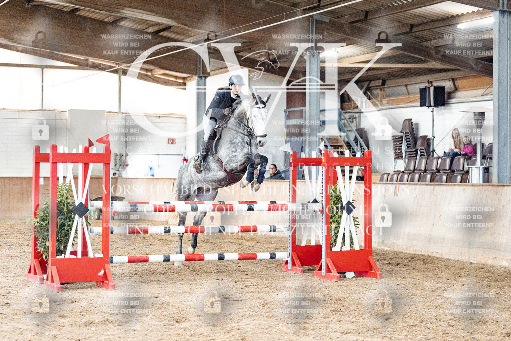 CK906324 | Turnierfotografie Pferdefotografie Trier Rheinland-Pfalz Pferdesport Reitsport Tierfotografie Sportfotografie Pferdevideo Pferdevideografie Equestrianvideography equestrianphotography  - Realisiert mit Pictrs.com