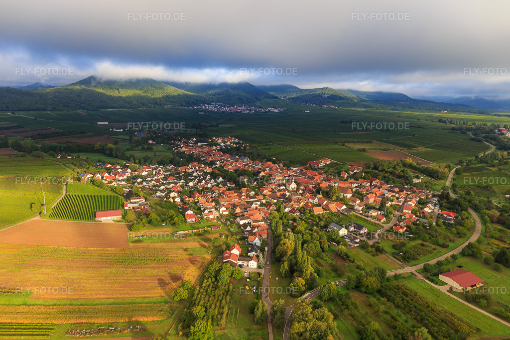 Luftbild: Dorfansicht am Kaiserbach aus Südwesten in Göcklingen im Bundesland Rheinland-Pfalz in Deutschland. Foto: IMG_103308.jpg vom 10.09.2017 durch Werner Riehm/FLY-FOTO.de