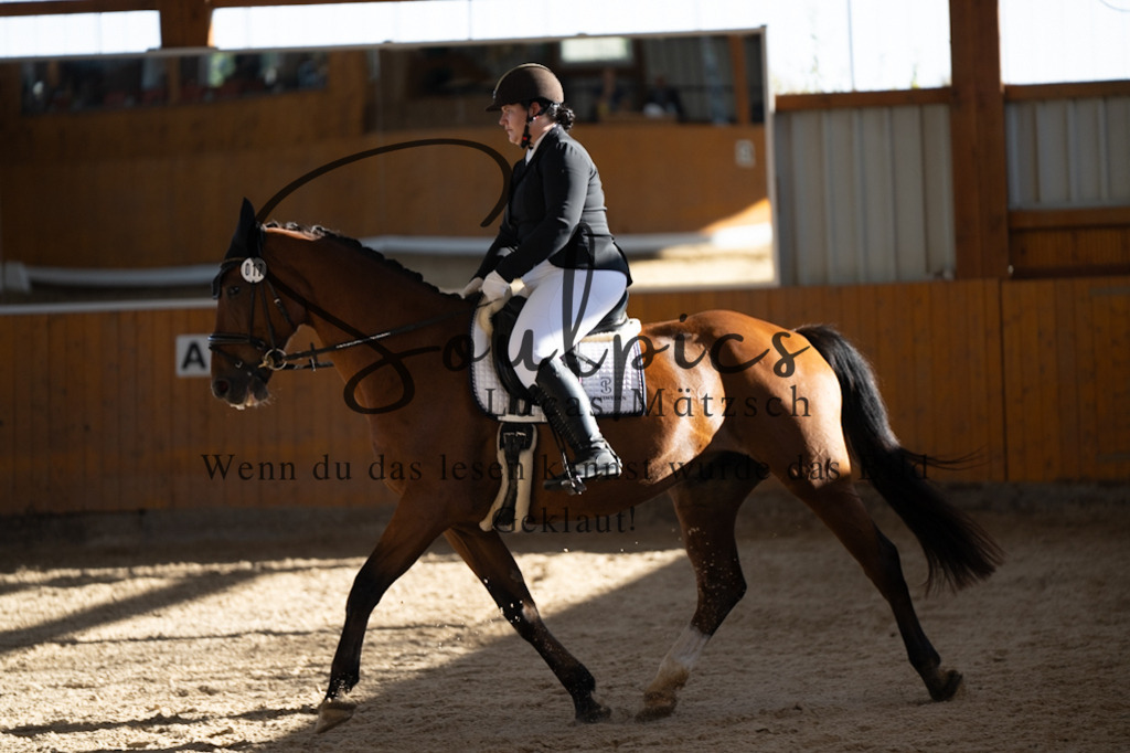 A7V01783 | Turnier/Reitfotograf