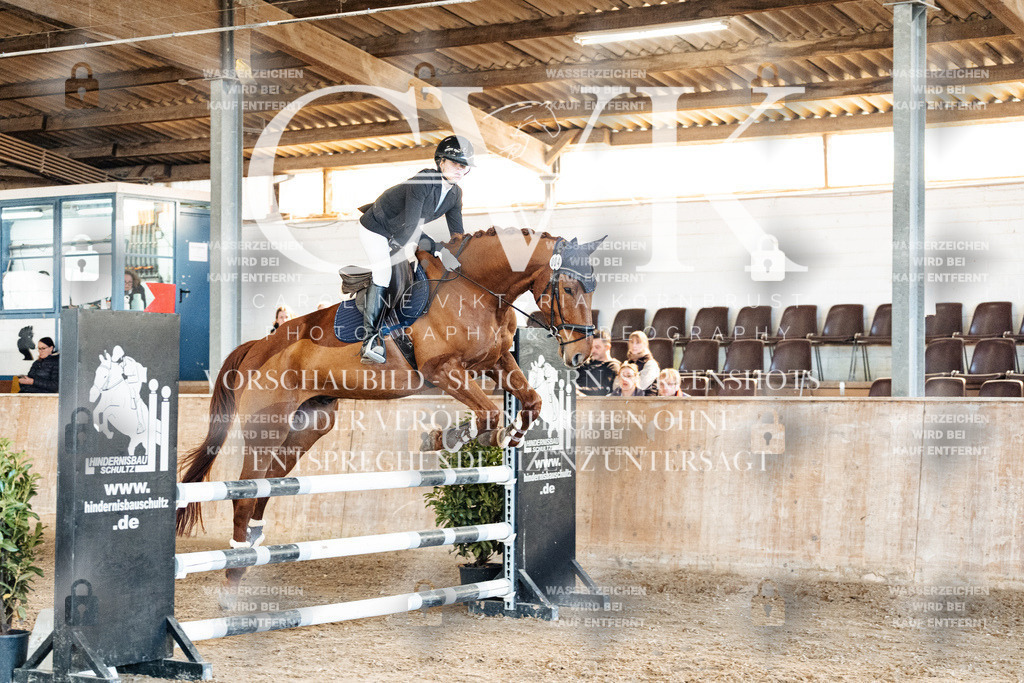 CK905004 | Turnierfotografie Pferdefotografie Trier Rheinland-Pfalz Pferdesport Reitsport Tierfotografie Sportfotografie Pferdevideo Pferdevideografie Equestrianvideography equestrianphotography  - Realized with Pictrs.com