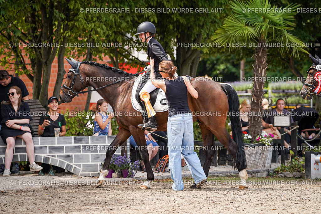 DSC04713 | Pferdegrafie